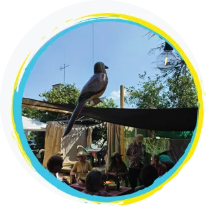 Afrinoon Permaculture - the venue